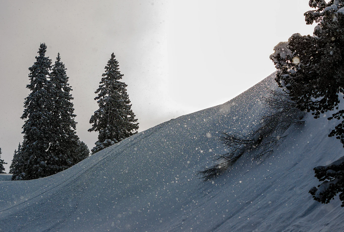 200 ways to say snow, plus 1