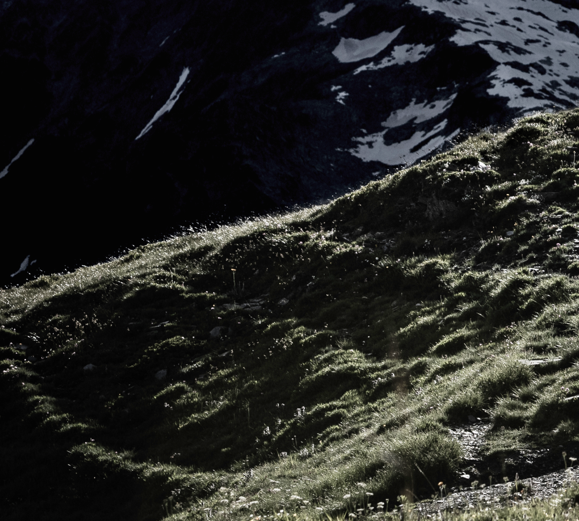 Trail Running